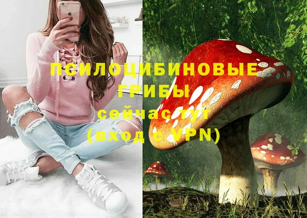 PSILOCYBIN Алексин