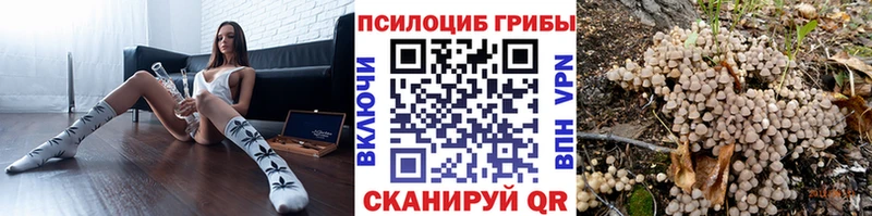 Псилоцибиновые грибы Psilocybine cubensis  Карабулак 