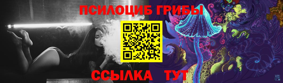 сколько стоит  Псилоцибиновые грибы Magic Shrooms  Псилоцибиновые грибы прущие грибы  Вход с VPN  Карабулак 