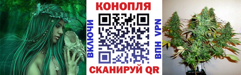блэк спрут зеркало  Карабулак  Канабис White Widow 